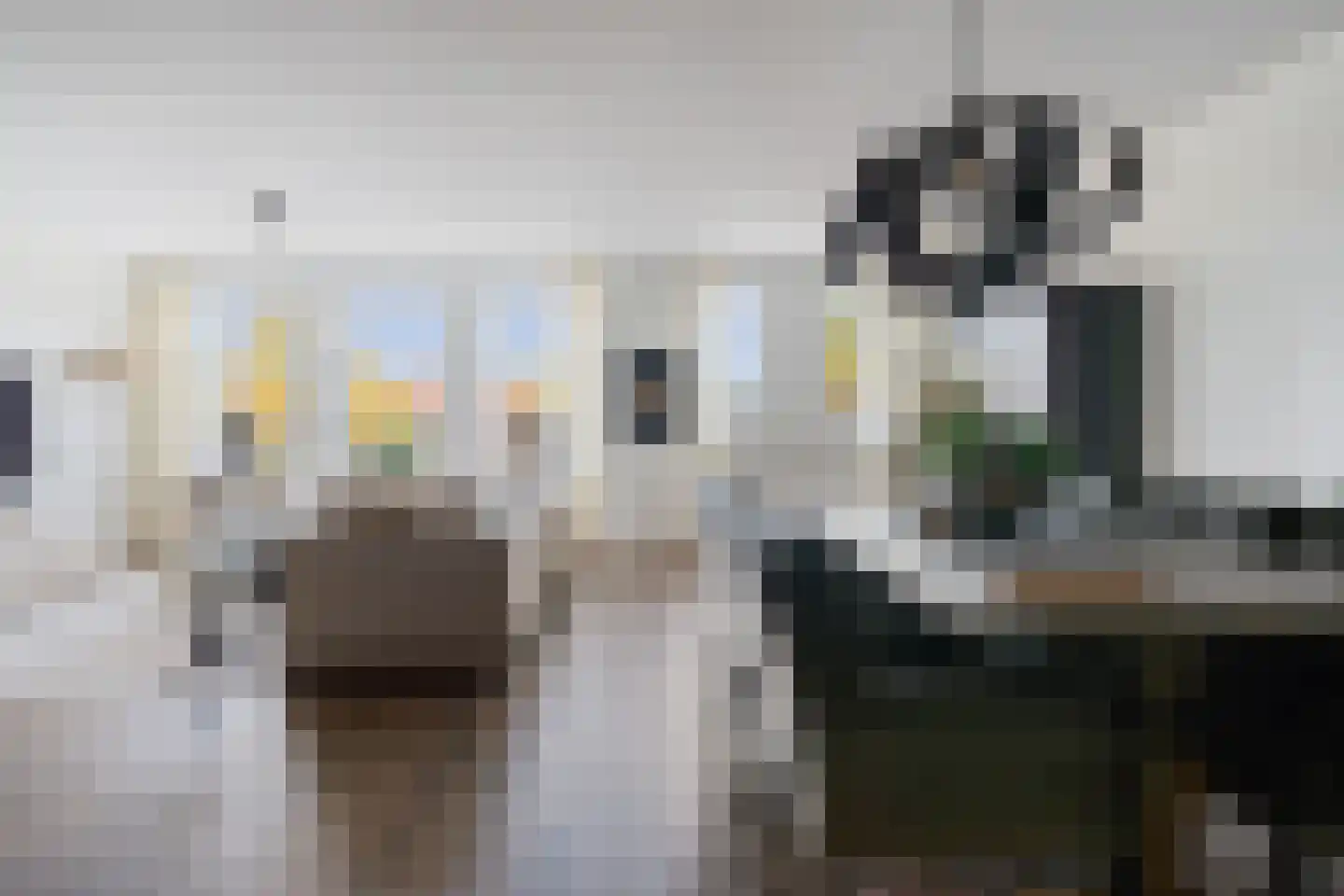 Bisschopsmolenstraat 136 A Etten-Leur thumbnail 15