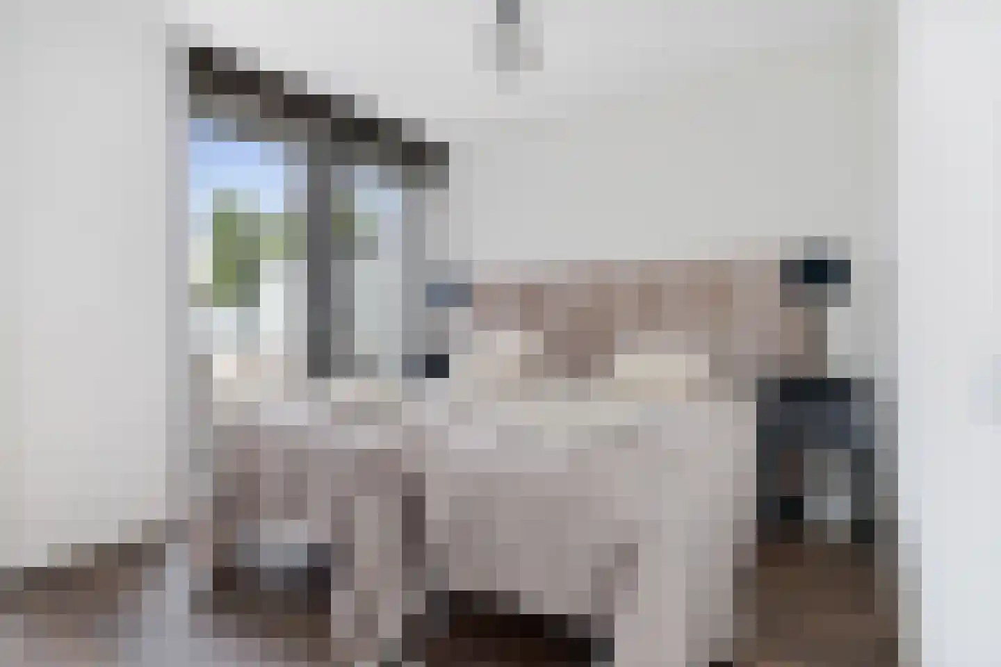 Bisschopsmolenstraat 136 A Etten-Leur thumbnail 18