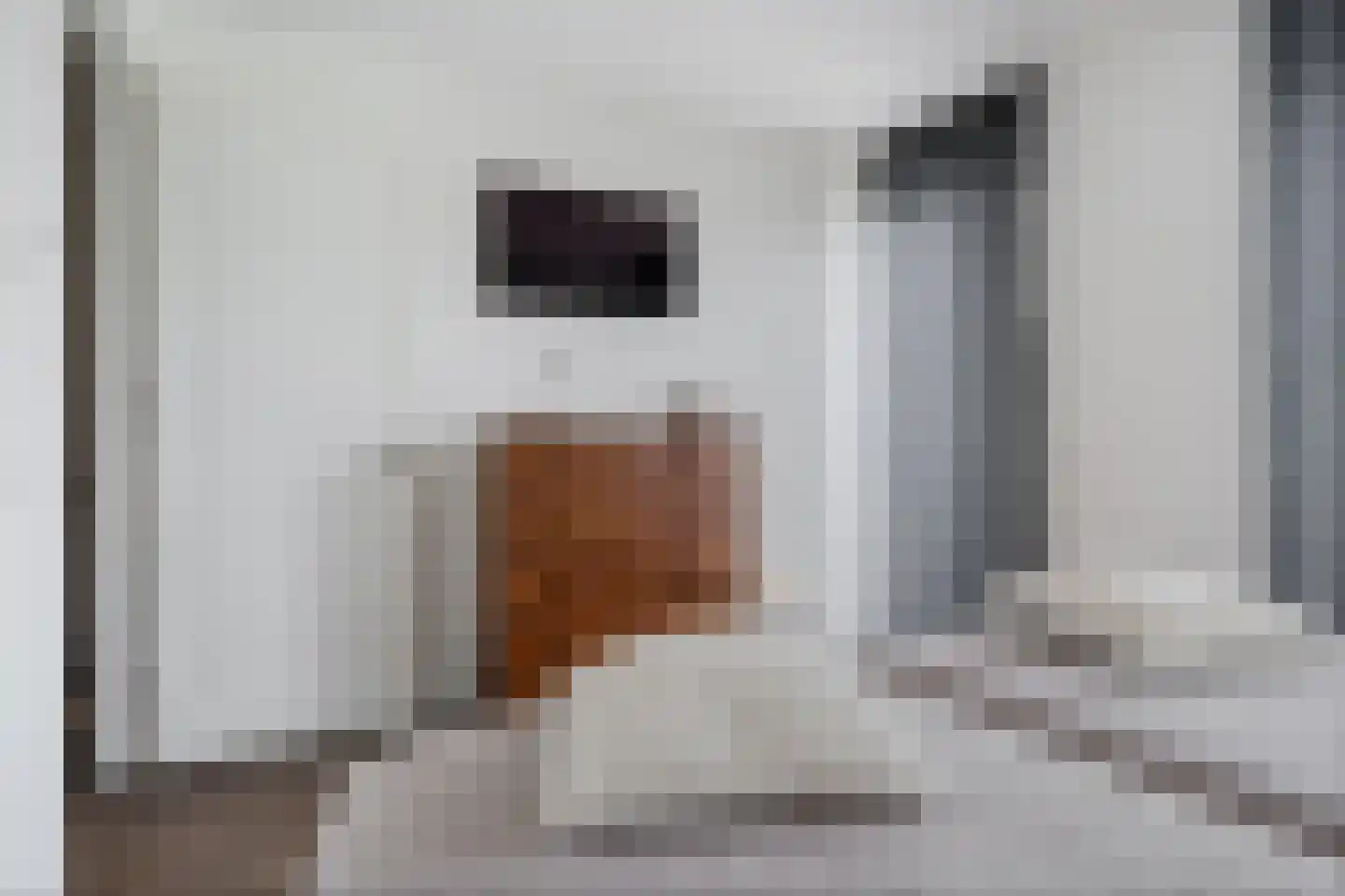 Bisschopsmolenstraat 136 A Etten-Leur thumbnail 19