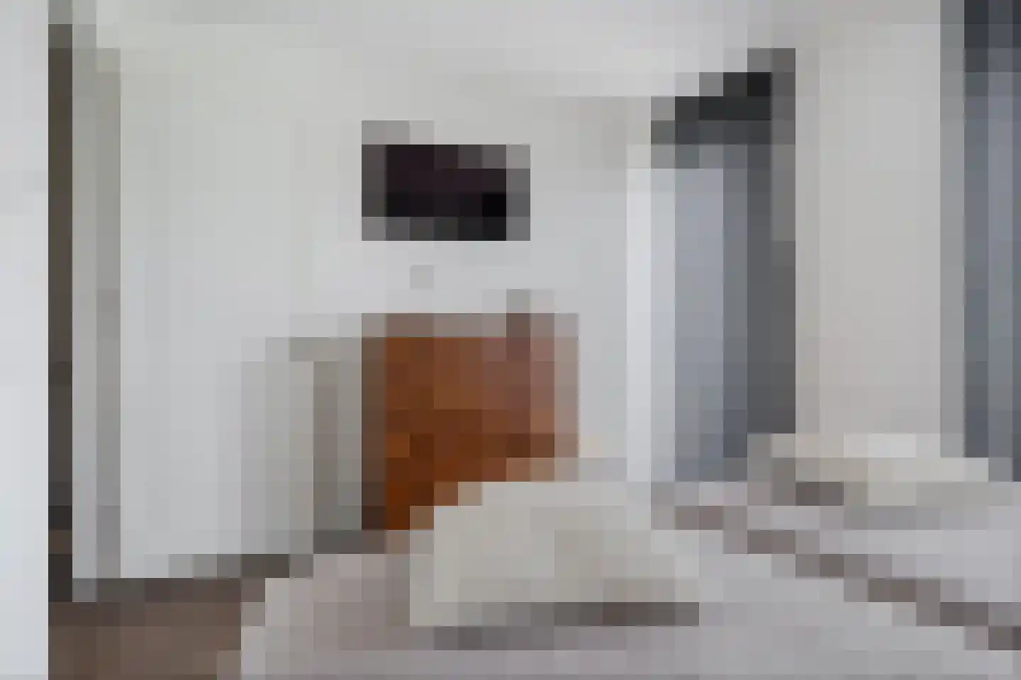 Bisschopsmolenstraat 136 A Etten-Leur thumbnail 19