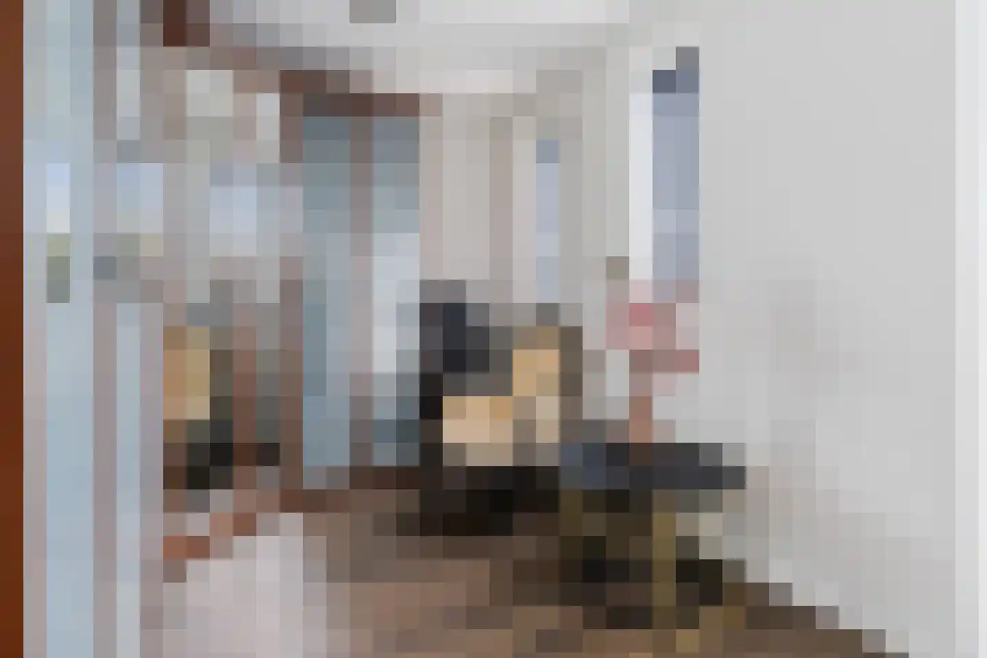 Bisschopsmolenstraat 136 A Etten-Leur thumbnail 21