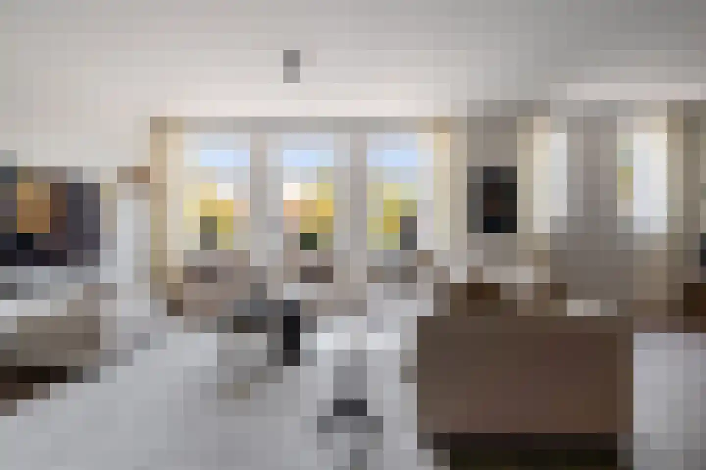 Bisschopsmolenstraat 136 A Etten-Leur thumbnail 7