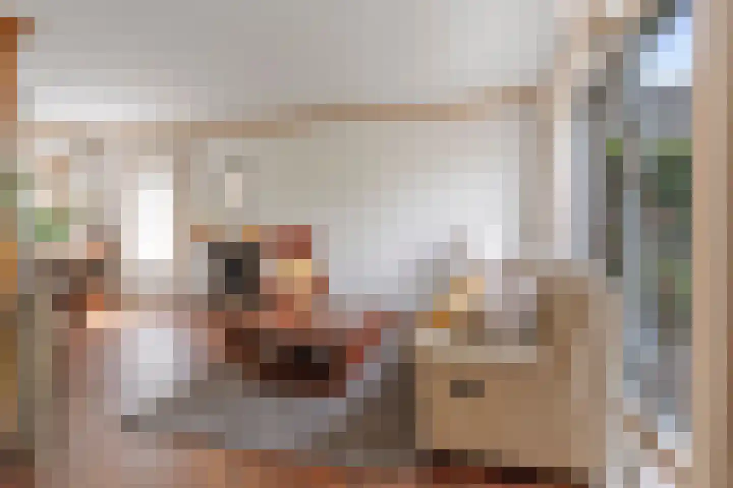 Bisschopsmolenstraat 154 A Etten-Leur thumbnail 14
