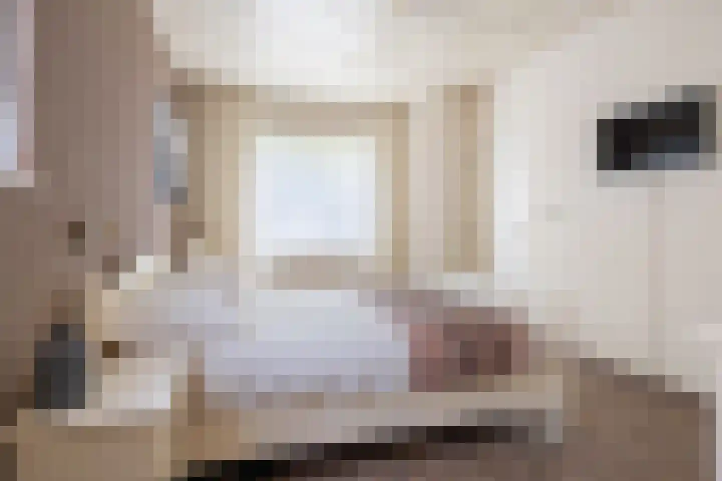 Bisschopsmolenstraat 154 A Etten-Leur thumbnail 19