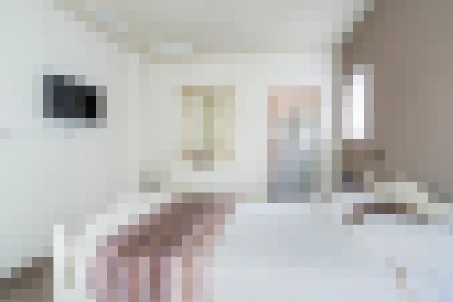 Bisschopsmolenstraat 154 A Etten-Leur thumbnail 21