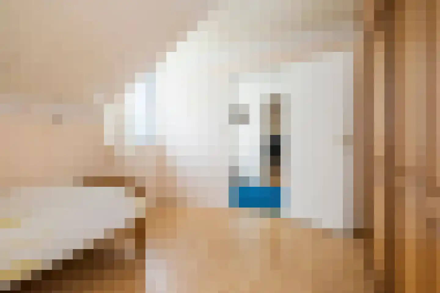 Bisschopsmolenstraat 154 A Etten-Leur thumbnail 32