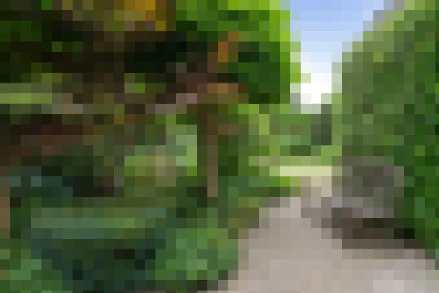 Bisschopsmolenstraat 154 A Etten-Leur thumbnail 38