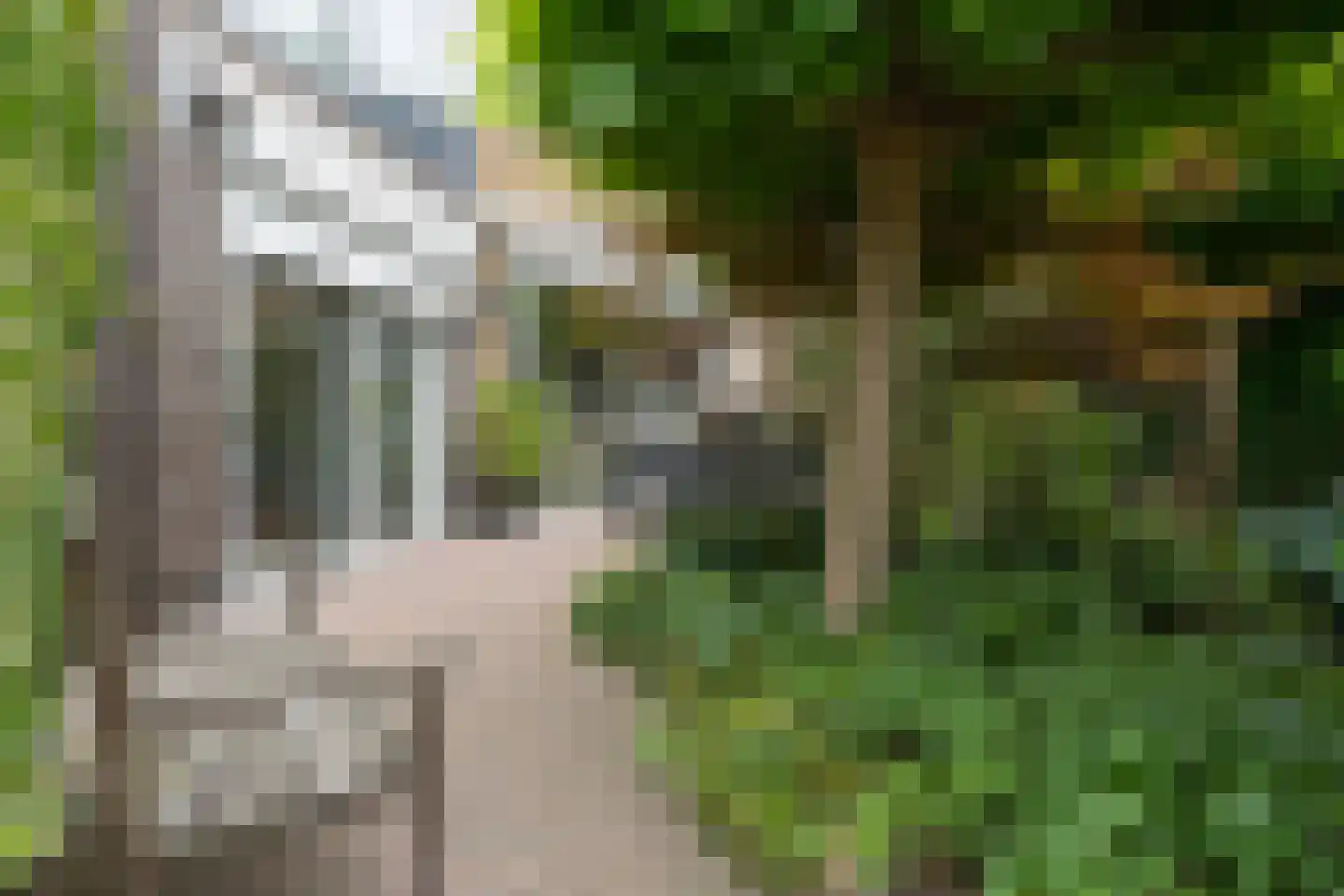 Bisschopsmolenstraat 154 A Etten-Leur thumbnail 39