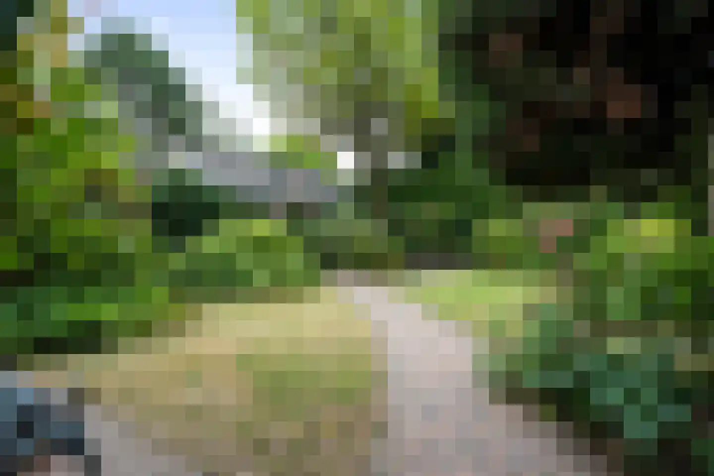 Bisschopsmolenstraat 154 A Etten-Leur thumbnail 4