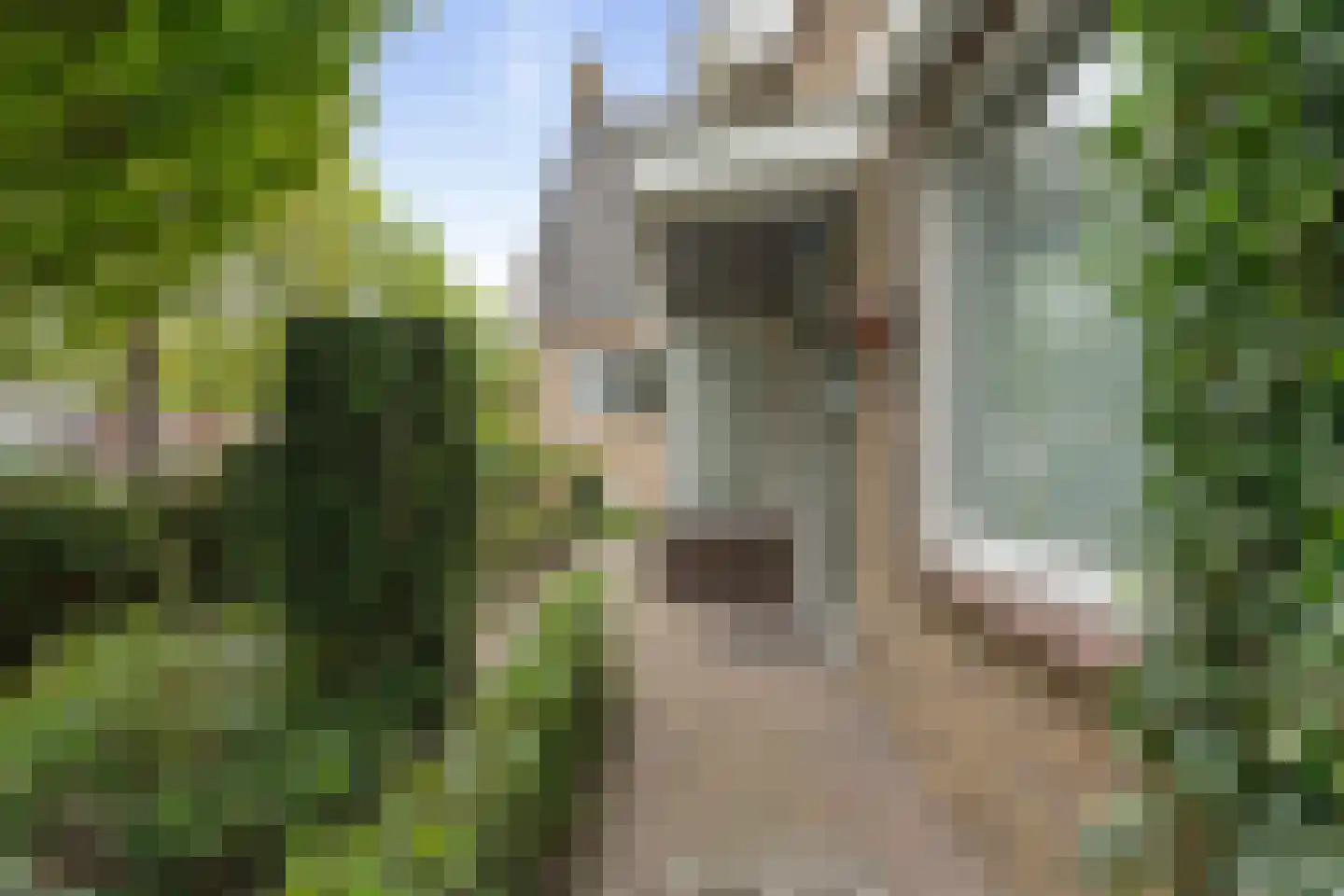Bisschopsmolenstraat 154 A Etten-Leur thumbnail 48