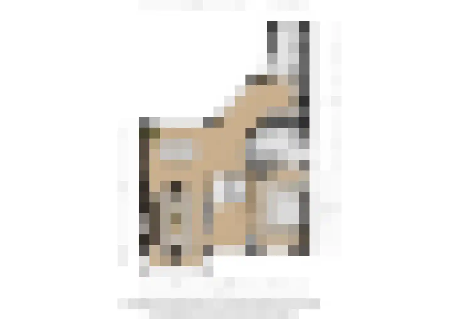 Bisschopsmolenstraat 154 A Etten-Leur thumbnail 50
