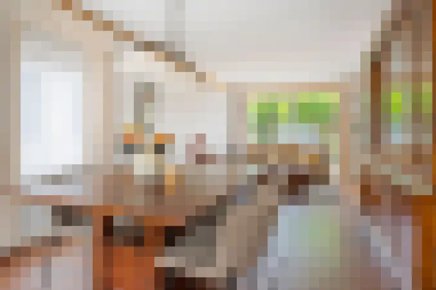 Bisschopsmolenstraat 154 A Etten-Leur thumbnail 6