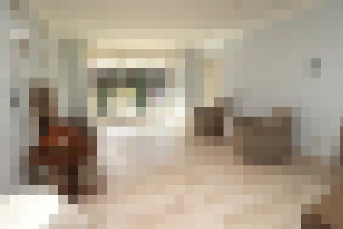 Bisschopsmolenstraat 255 Etten-Leur thumbnail 4