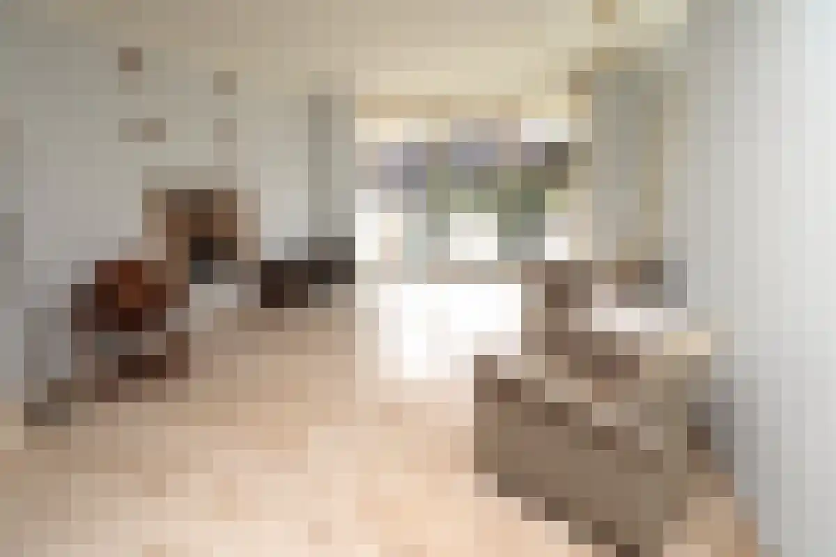 Bisschopsmolenstraat 255 Etten-Leur thumbnail 5