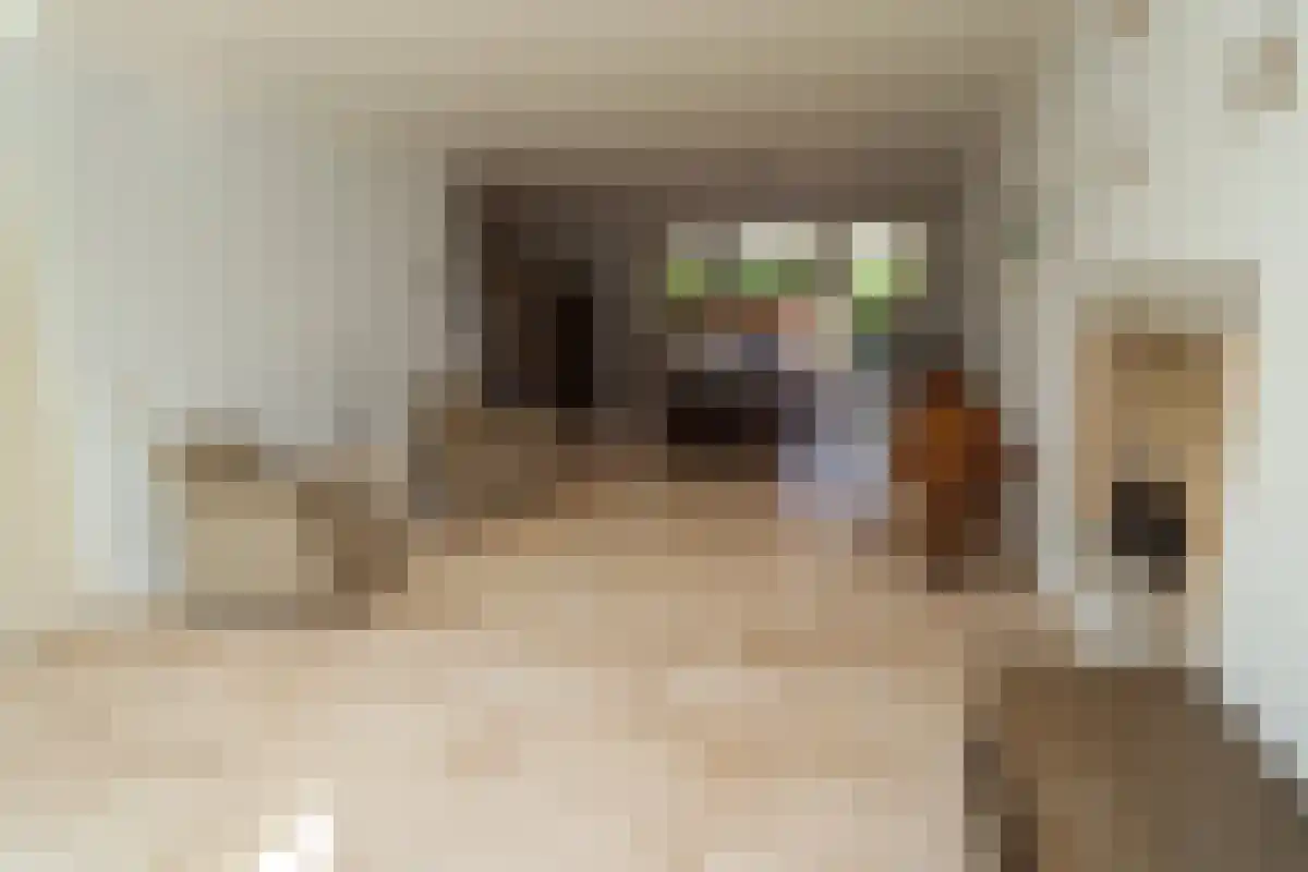 Bisschopsmolenstraat 255 Etten-Leur thumbnail 6