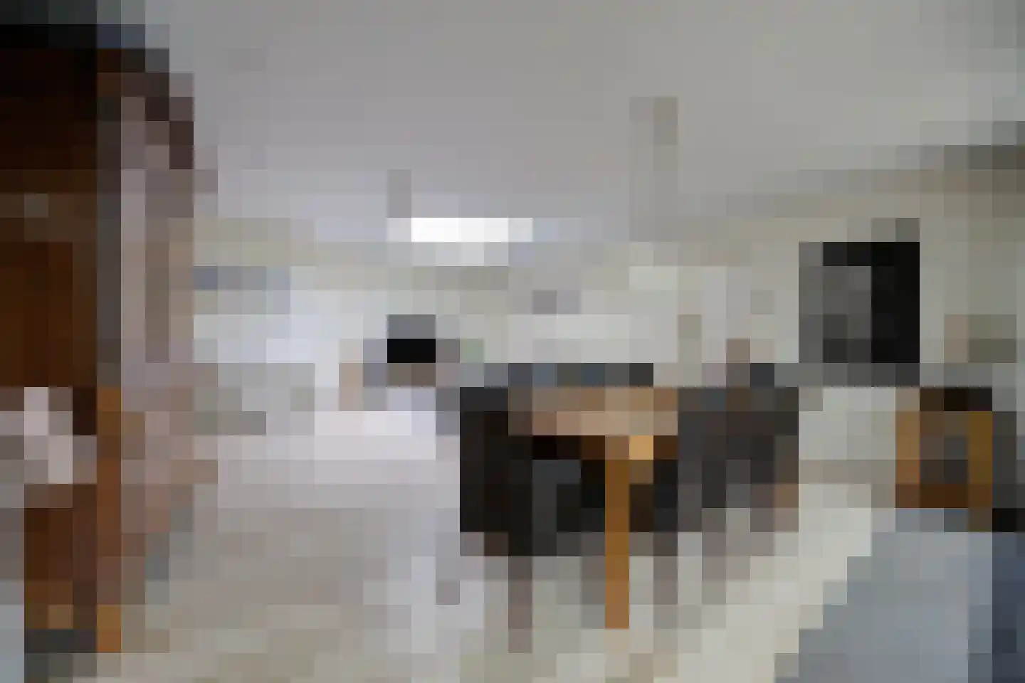 Bisschopsmolenstraat 84 Etten-Leur thumbnail 13