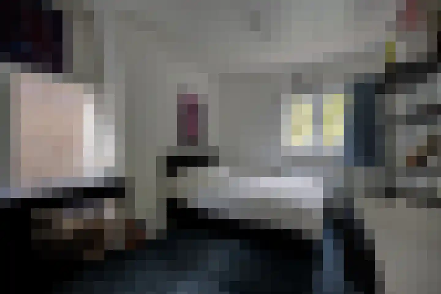 Bisschopsmolenstraat 84 Etten-Leur thumbnail 32