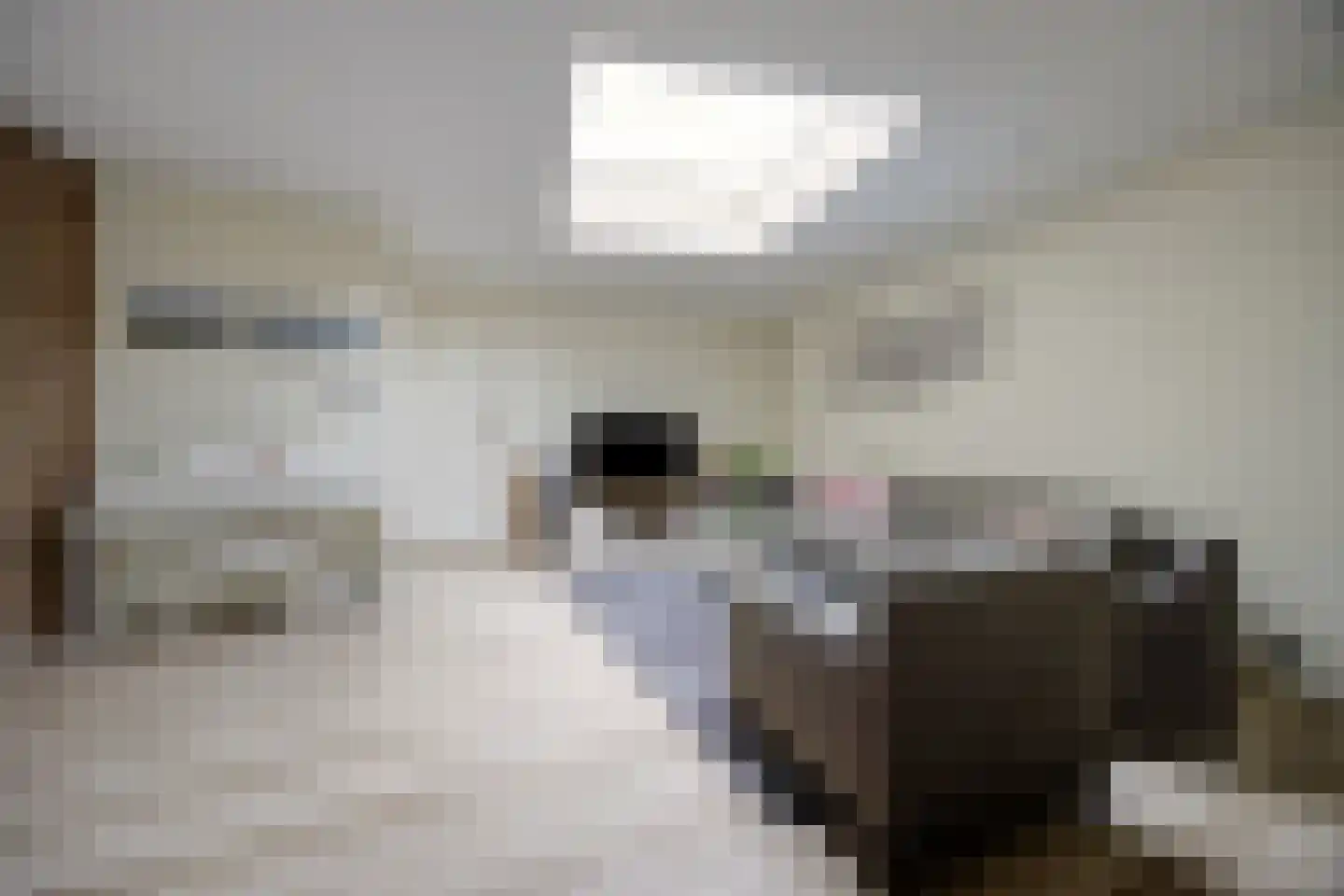 Bisschopsmolenstraat 84 Etten-Leur thumbnail 9