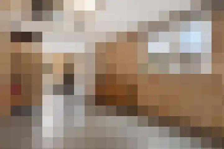Bisschopsstraat 7 Creil thumbnail 11