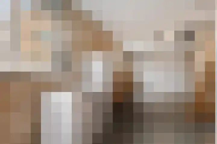 Bisschopsstraat 7 Creil thumbnail 12