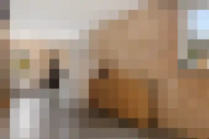 Bisschopsstraat 7 Creil thumbnail 13