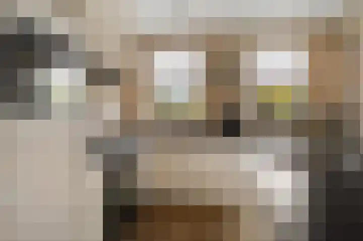 Bisschopsstraat 7 Creil thumbnail 15