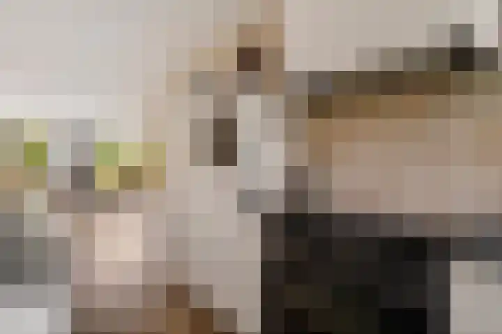 Bisschopsstraat 7 Creil thumbnail 17
