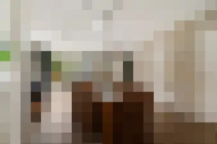 Bisschopsstraat 7 Creil thumbnail 21