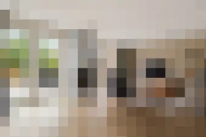 Bisschopsstraat 7 Creil thumbnail 23