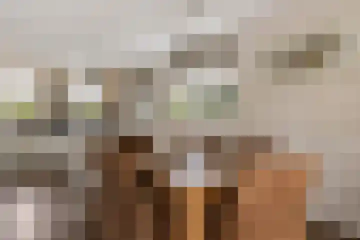 Bisschopsstraat 7 Creil thumbnail 25