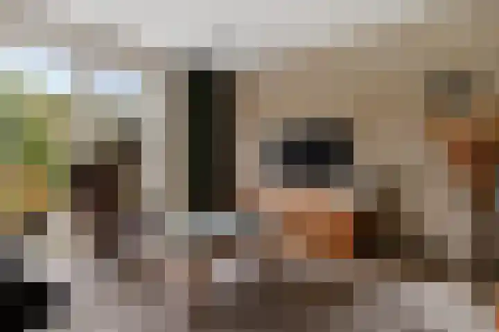 Bisschopsstraat 7 Creil thumbnail 26