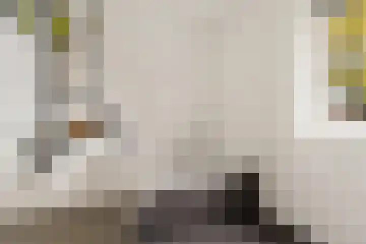 Bisschopsstraat 7 Creil thumbnail 35