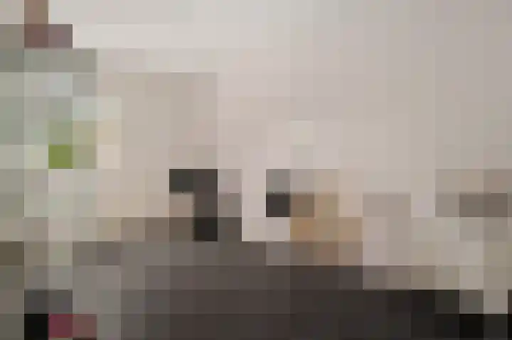 Bisschopsstraat 7 Creil thumbnail 42