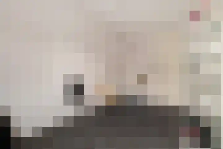 Bisschopsstraat 7 Creil thumbnail 43