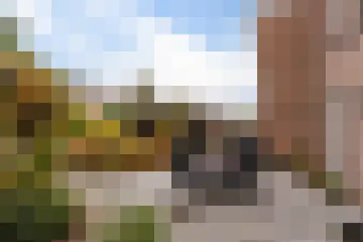 Bisschopsstraat 7 Creil thumbnail 45