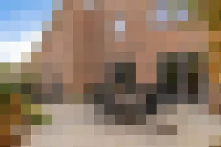 Bisschopsstraat 7 Creil thumbnail 46