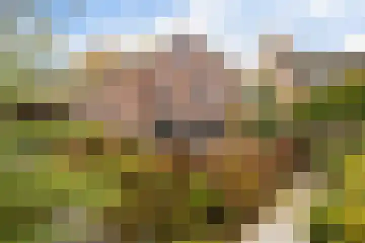 Bisschopsstraat 7 Creil thumbnail 47