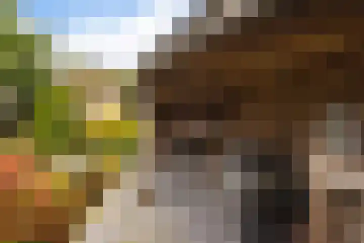 Bisschopsstraat 7 Creil thumbnail 48