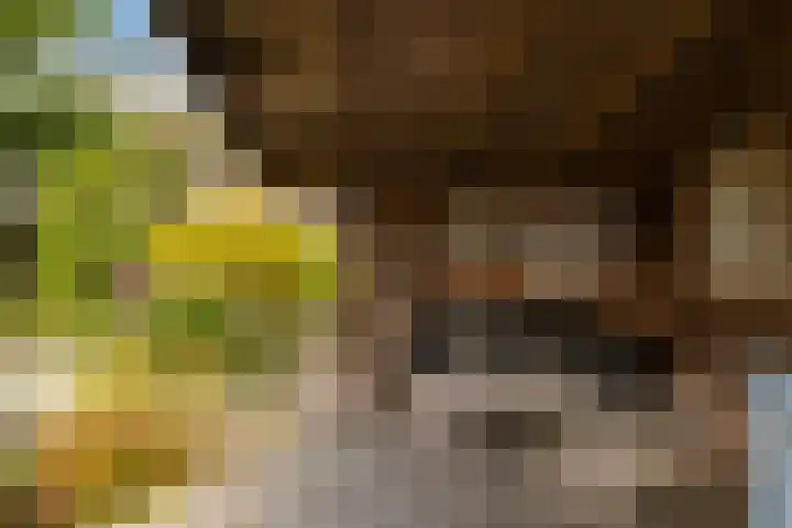 Bisschopsstraat 7 Creil thumbnail 50