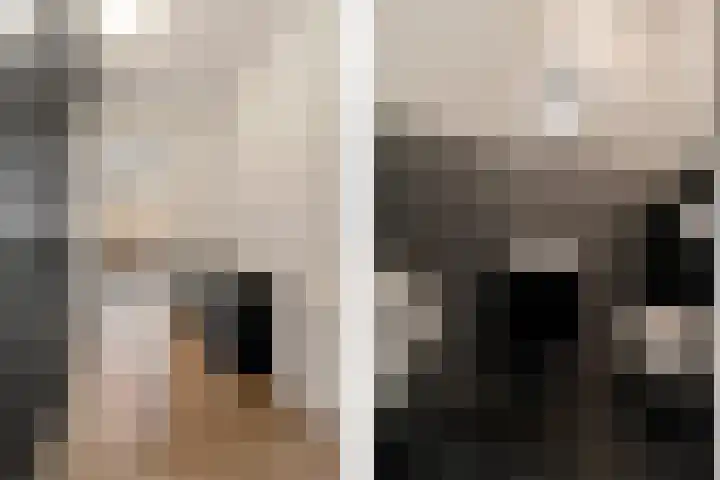Bisschopsstraat 7 Creil thumbnail 9