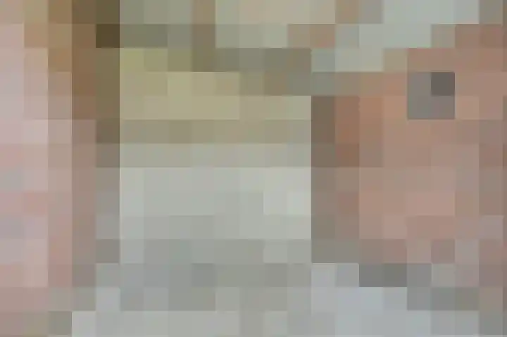 Bisschopstraat 18 Serooskerke thumbnail 30