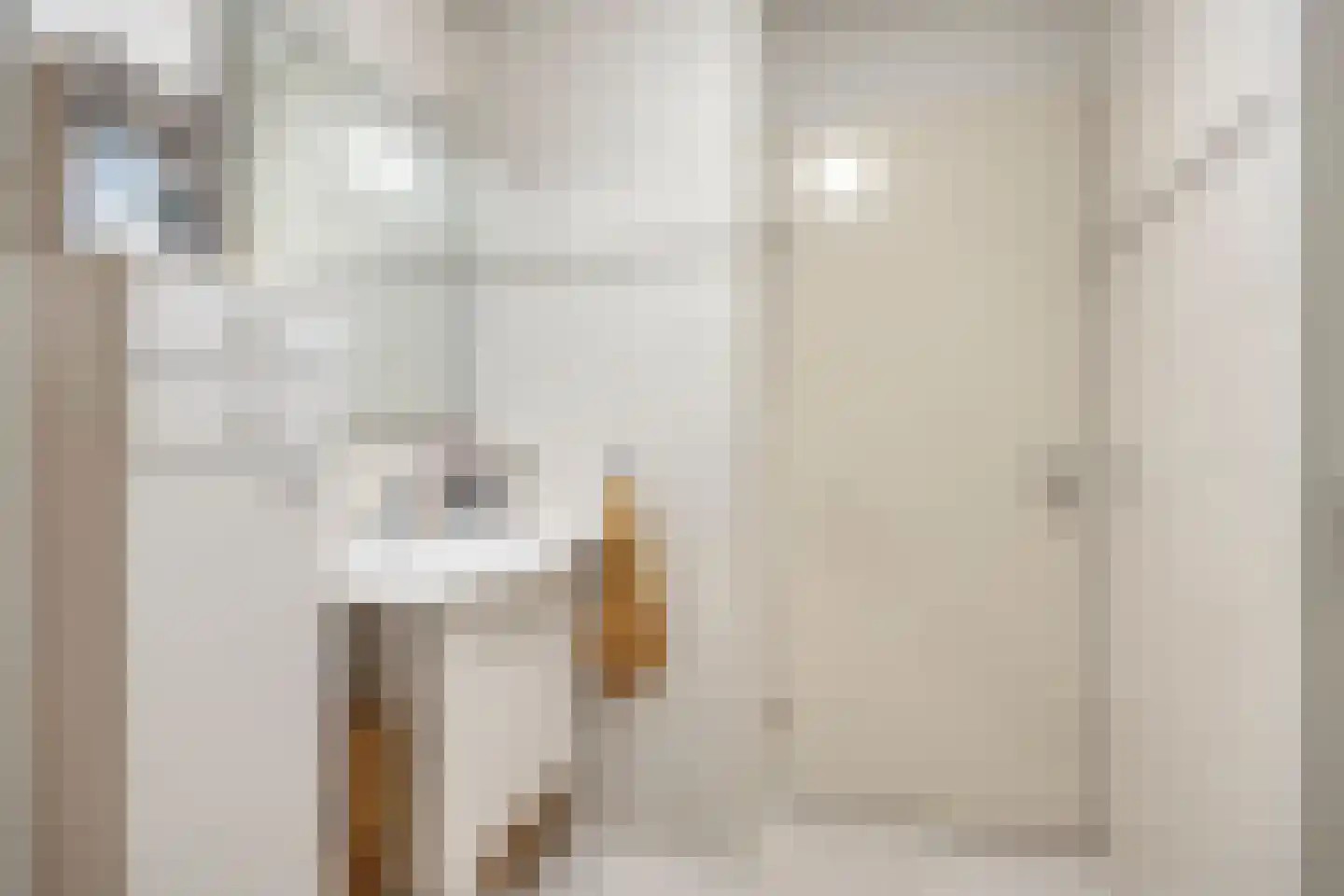 Bisschopstraat 20 b Oldenzaal thumbnail 19