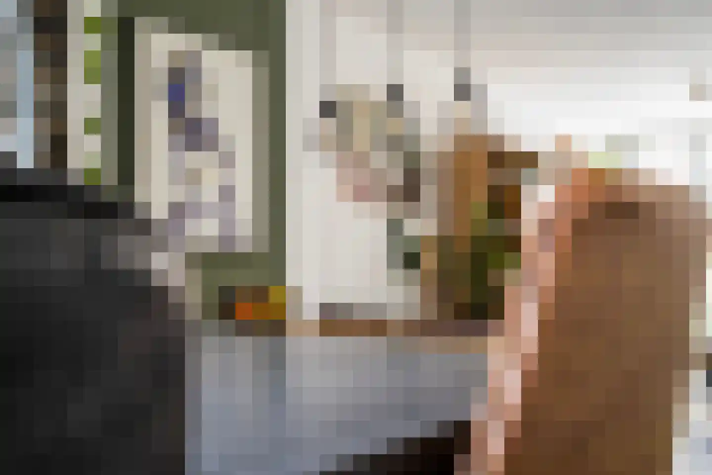 Bisschopstraat 21 B Rotterdam thumbnail 17