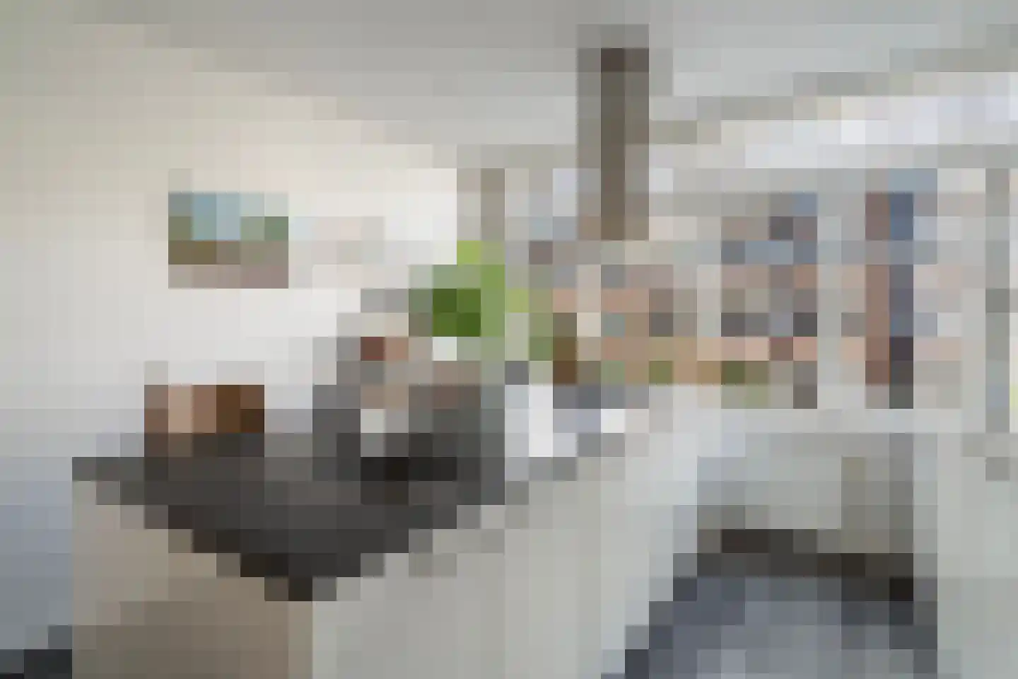 Bisschopstraat 21 B Rotterdam thumbnail 18