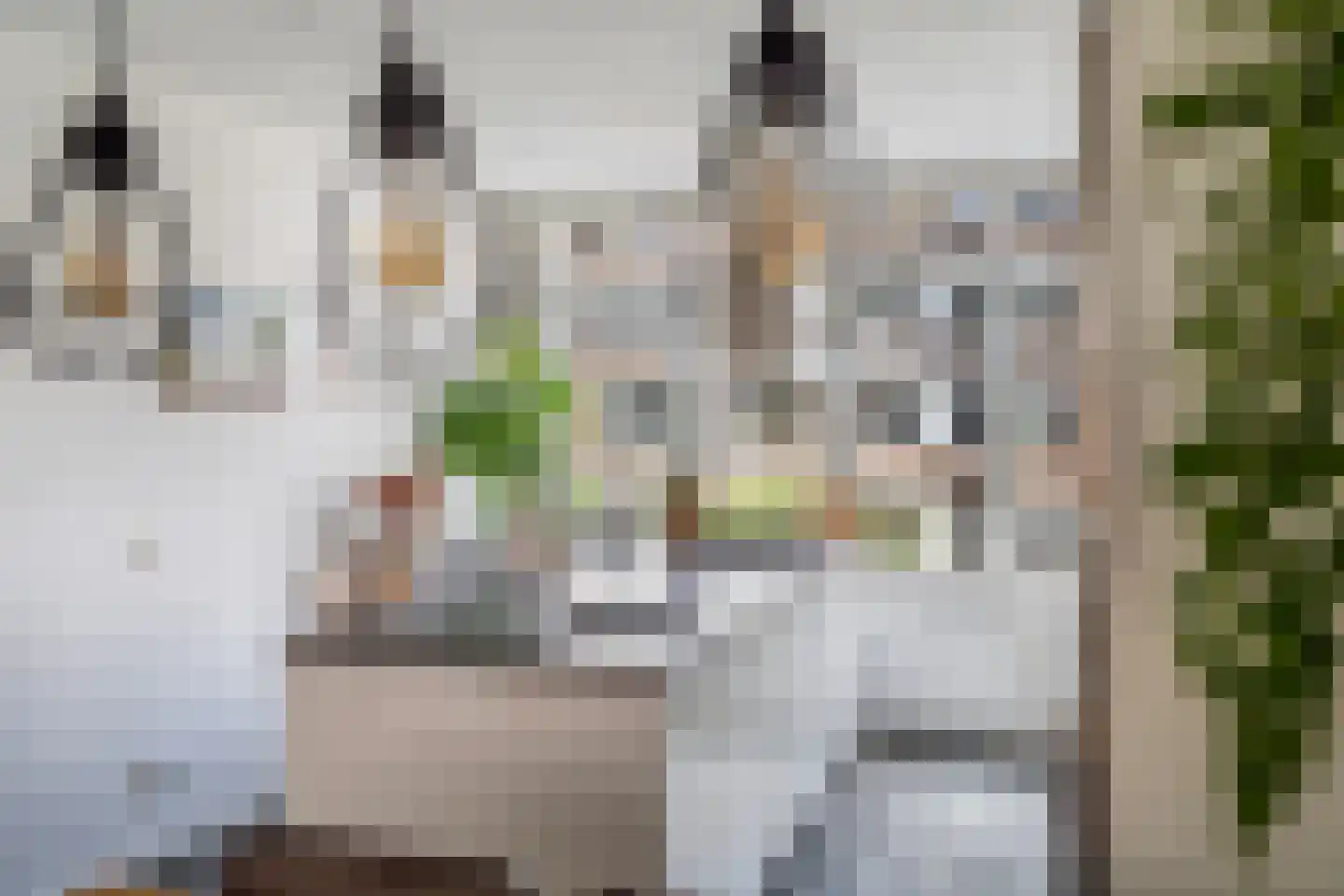 Bisschopstraat 21 B Rotterdam thumbnail 23