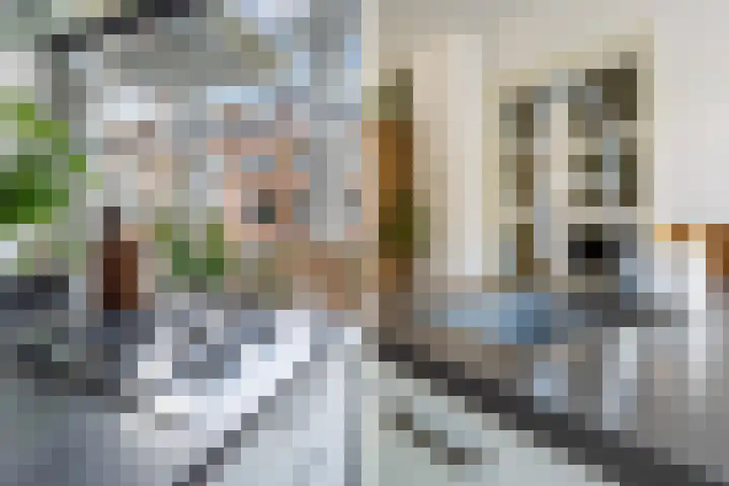 Bisschopstraat 21 B Rotterdam thumbnail 27