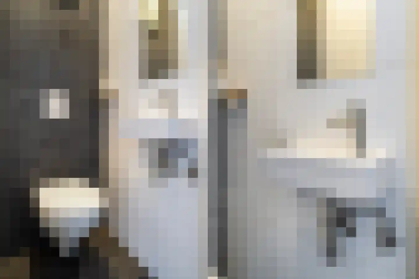 Bisschopstraat 21 B Rotterdam thumbnail 28