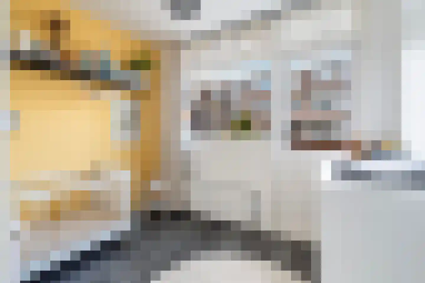 Bisschopstraat 21 B Rotterdam thumbnail 34