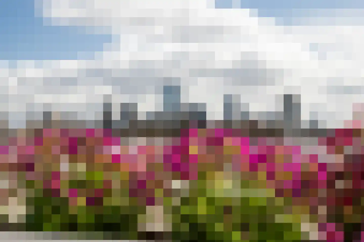 Bisschopstraat 21 B Rotterdam thumbnail 49