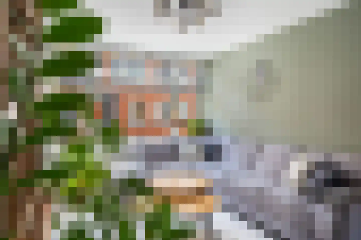 Bisschopstraat 21 B Rotterdam thumbnail 6